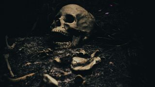 craniu uman, investigatie, gorj 