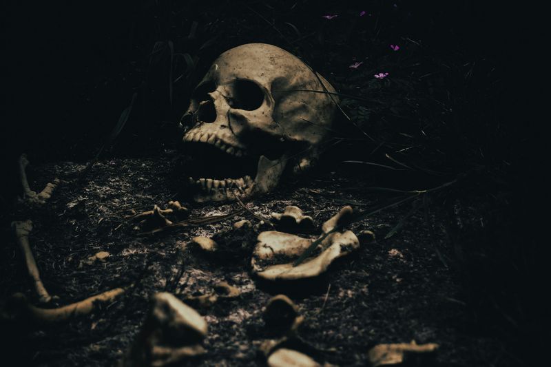 craniu uman, investigatie, gorj 