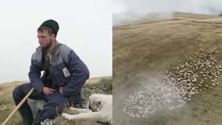 VIDEO &bdquo;Cred că n-aș da niciodată viața asta&rdquo;. Ciobănia, meseria pe cale de dispariție