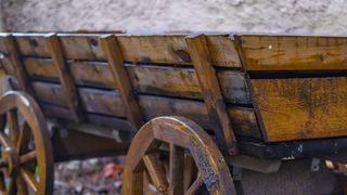 Destin tragic pentru un tânăr! A căzut din căruță și a murit pe loc, în Dâmbovița