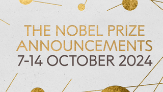 Premiile Nobel 2024
