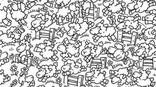 Doar 1% dintre oameni pot găsi puiul de găină ascuns între oi