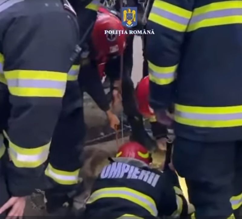 barbat cazut canal, oraselul copiilor, sectorul 4