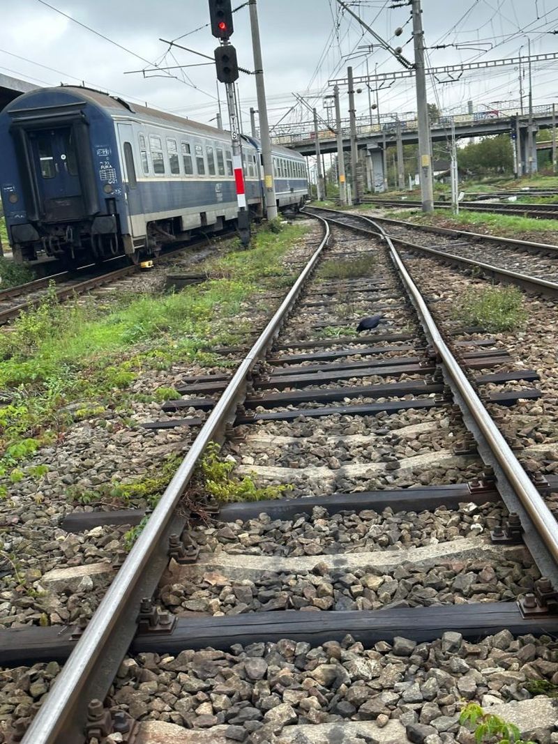 tren calatori, cfr, vagoane cfr 