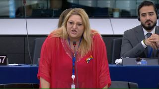 Cum a motivat CCR respingerea candidaturii Dianei Şoşoacă la alegerile prezidențiale 2024 - DOCUMENT