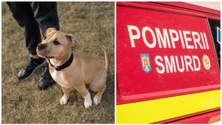 O asistentă din Vaslui a fost opărită de colegul ambulanțier, care arunca cu apă fiartă pe un câine! Animalul s-a ascuns după femeie de furia bărbatului