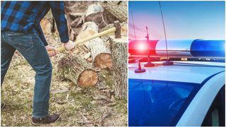 A plecat la muncă și nu s-a mai întors acasă! Un bărbat a murit după ce o creangă l-a lovit în cap