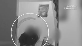 VIDEO Mai mulți adolescenți, bătuți fără motiv, &icirc;n Maramureș. Agresorul care i-a atacat din senin a ajuns la psihiatrie