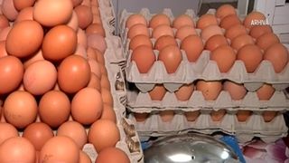 VIDEO Ouăle și carnea din Ucraina ar putea intra în România doar cu licență. Care este procesul implementat de Ministerul Agriculturii