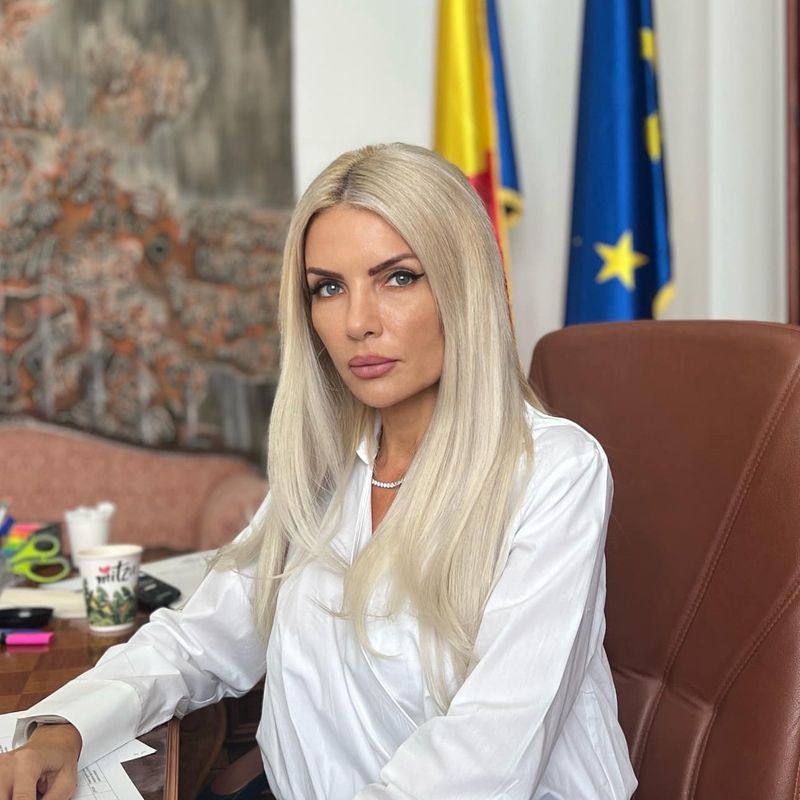 laura vicol, investigatie recorder, imobiliare, psd