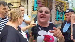 diana sosoaca alegeri, diana sosoaca copil 