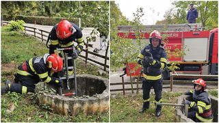 O pisică a căzut &icirc;ntr-o f&acirc;nt&acirc;nă ad&acirc;ncă de 8 metri. Cum a fost salvată de pompierii din Hunedoara