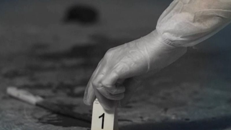 barbat ucis, accident arges, sofer baut 