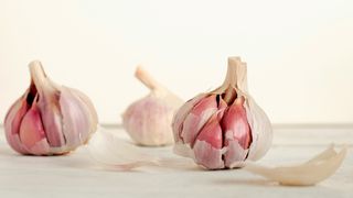 usturoi, vampir, boala rara 