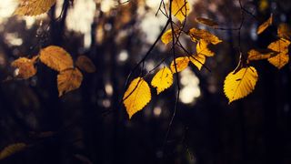 Fenomenul meteo care apare de miercuri în țară. Vremea se schimbă în zilele următoare