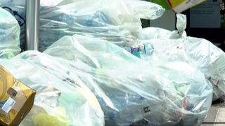 reciclat sticle, pelerinaj iasi, sf parascheva 