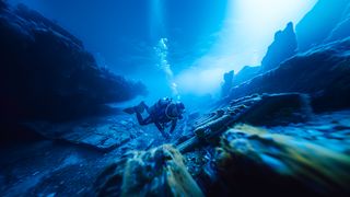 Descoperire șocantă pe fundul oceanului. Vietatea care ajunge la zeci de centimetri i-a uimit pe cercetători: "Trebuie protejată"