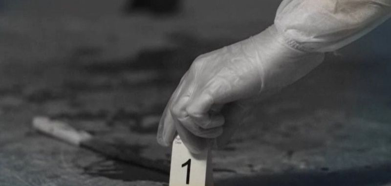 salvamontisti, cioban, stana, caras-severin 