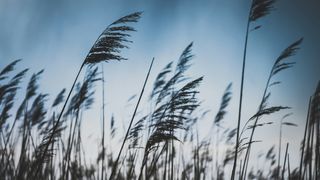 HARTA Cod galben de vijelii! Zona vizată de atenționarea meteorologilor