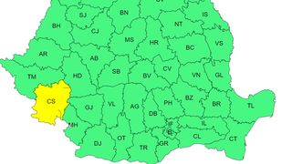 cod galben, vijelii, vant puternic 