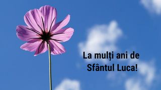 Cele mai frumoase imagini și felicitări de La Mulți Ani