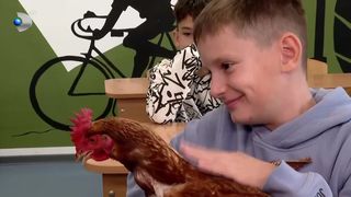 VIDEO „Mi se pare foarte educativă”. „Ora cu și pentru animale”, materia preferată a copiilor