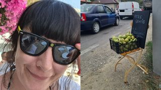 Ironia sorții! După un an de muncă, românii au ajuns să dea fructele pe gratis, pentru că noi le luăm din alte țări. Patroana unei pensiuni din Brașov a avut însă parte de o surpriză, când a verificat lădița lăsată la poartă: "M-a impresionat maxim"