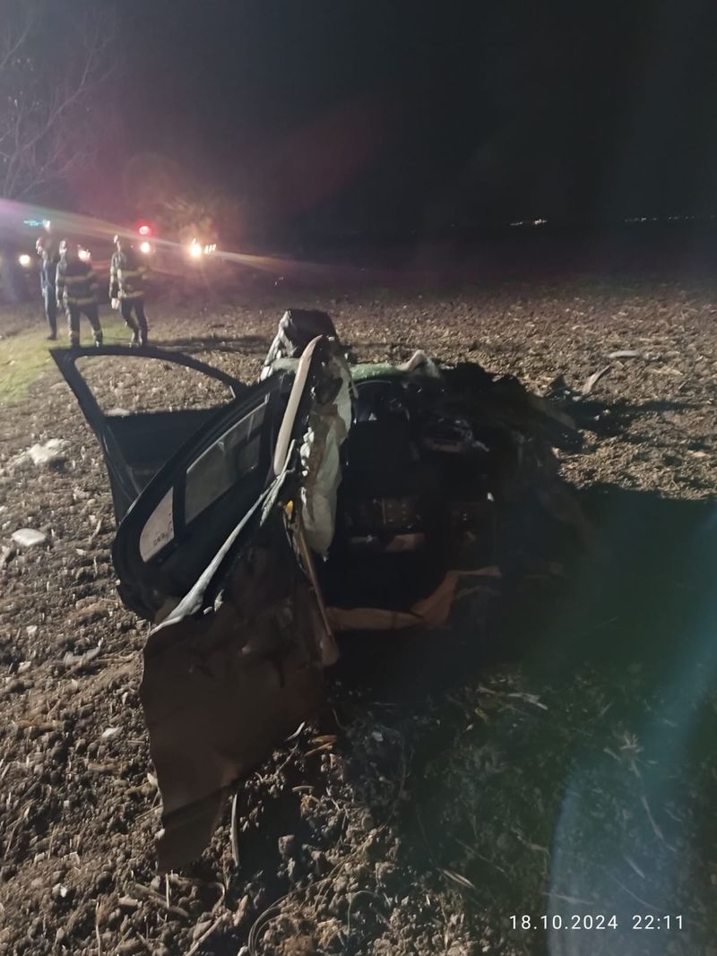 accident prahova, copac, supravietuitor 