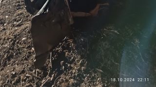 accident prahova, copac, supravietuitor 