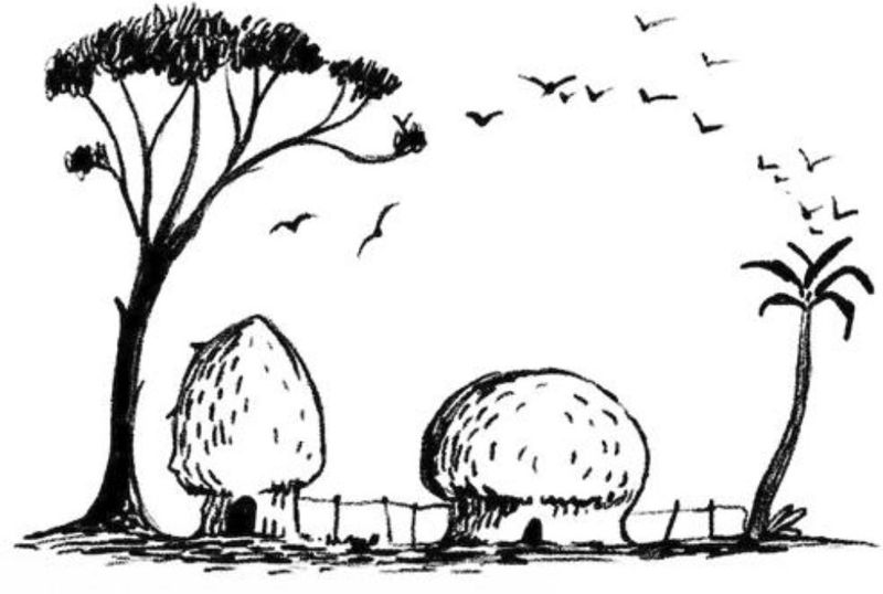 test iq, iluzie optica, test atentie 