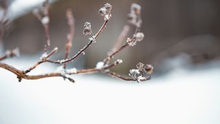 vreme rece, frig, anm, toamna 