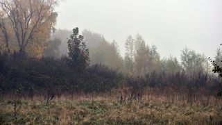 Cele mai friguroase zile de toamnă de anul acesta! C&acirc;t mai durează gerul: &bdquo;Nopțile și diminețile vor fi reci&rdquo;