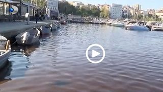 VIDEO Marea Neagră e roșie la Constanța. Explicația specialiștilor