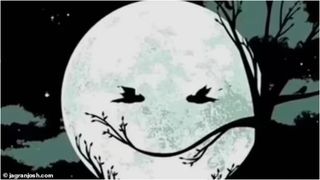 TEST. Ce vezi prima dată &icirc;n această imagine?