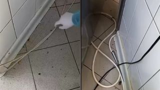 VIDEO &bdquo;Nu este niciun fel de problemă pentru noi&rdquo;. Bucătăria g&acirc;ndacilor &icirc;ntr-un spital din Rom&acirc;nia