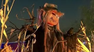 VIDEO Halloween sărbătorit în mijlocul orașului. Insula Lacul Morii, tărâmul bântuit din Capitală