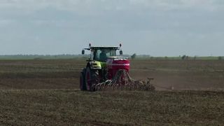 VIDEO „Dacă nu vin ăștia, e faliment”. Despăgubirile de secetă, colacul de salvare