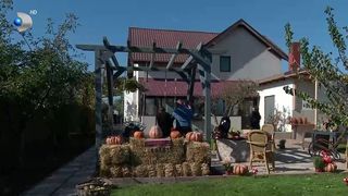 VIDEO „E frumos tot în jurul tău”. Gospodărie decorată ca-n povești