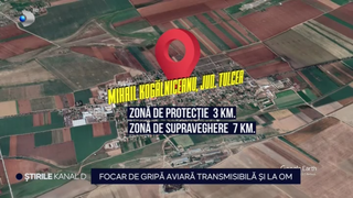 VIDEO Focar de gripă aviară transmisibilă și la om, identificată în Tulcea. Oamenii sunt în groziți: "Mi-e teamă..."