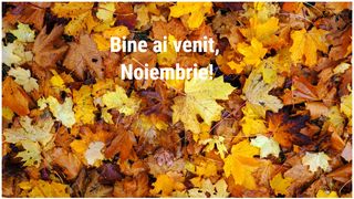 Hello November - Mesaje de 1 noiembrie 2024