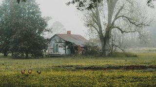 cladiri abandonate, teren parasit, slatina, impozite 