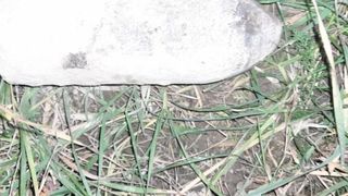 proiectil, munitie, al doilea razboi mondial, harghita 