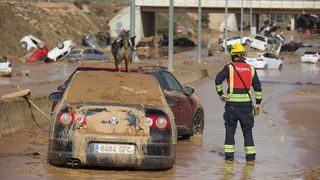 Caz șocant &icirc;n urma inundațiilor catastrofale din Valencia