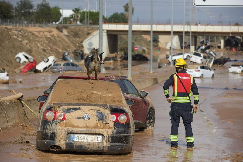 Caz șocant în urma inundațiilor catastrofale din Valencia