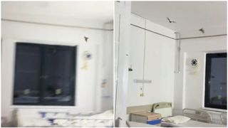 VIDEO "A venit Batman! Ediție de Halloween!" O femeie a filmat cum zboră liliecii &icirc;ntr-un spital din Călărași, pe secția de pediatrie. Prima reacție a conducerii