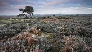 Ger de crapă pietrele în România