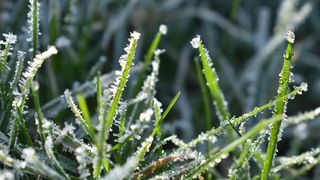 Ger de crapă pietrele în România