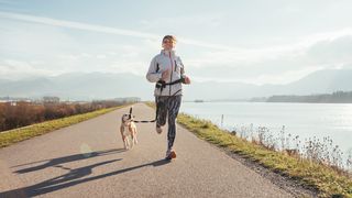 VIDEO &bdquo;Vrem să ridicăm oamenii de pe canapea&rdquo;. Canicross, o altfel de plimbare cu c&acirc;inele