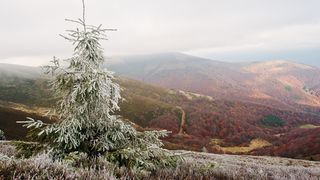 Ninge la altitudini înalte în weekend. Cum va fi vremea în orașele din regiunile montane