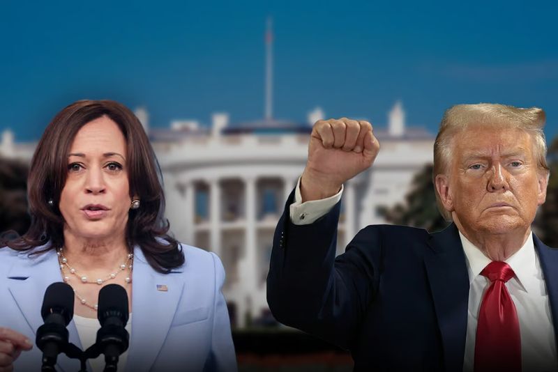 Donald Trump vs Kamala Harris